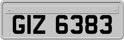 GIZ6383