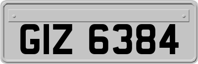 GIZ6384