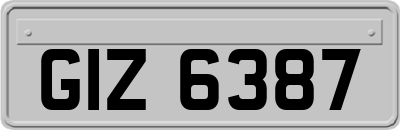 GIZ6387