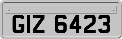 GIZ6423