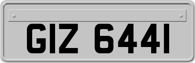 GIZ6441