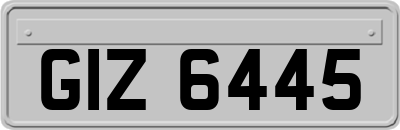 GIZ6445