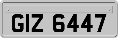 GIZ6447