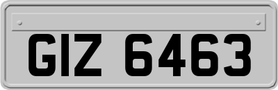 GIZ6463