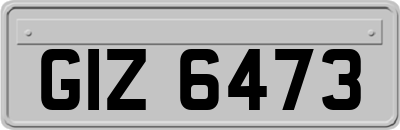 GIZ6473