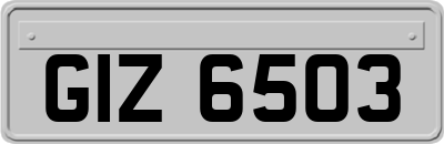 GIZ6503