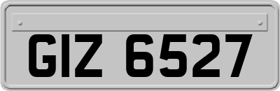 GIZ6527