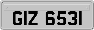 GIZ6531