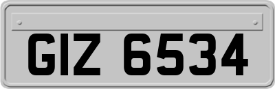 GIZ6534