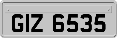 GIZ6535