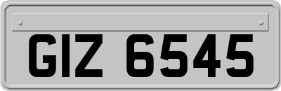 GIZ6545