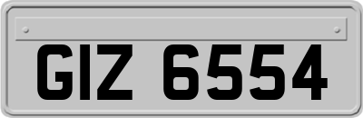 GIZ6554