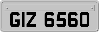 GIZ6560