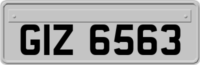 GIZ6563