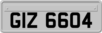 GIZ6604