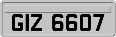 GIZ6607