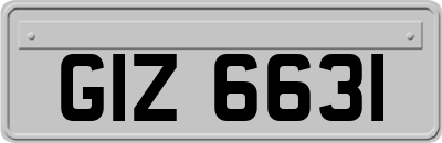 GIZ6631