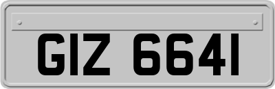 GIZ6641
