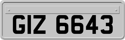 GIZ6643