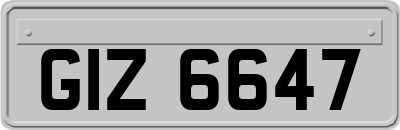 GIZ6647