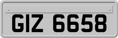 GIZ6658
