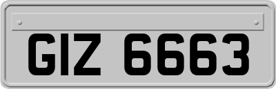 GIZ6663