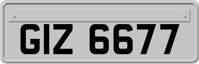 GIZ6677