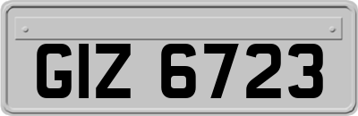GIZ6723