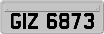 GIZ6873