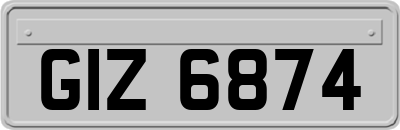 GIZ6874