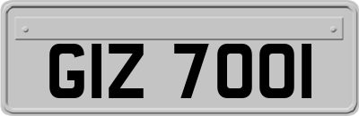 GIZ7001