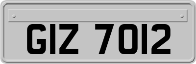 GIZ7012
