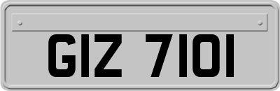 GIZ7101