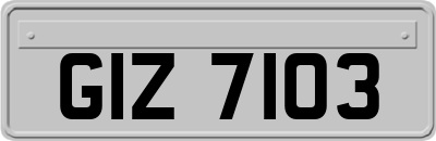 GIZ7103