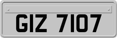 GIZ7107
