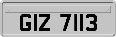GIZ7113