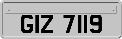 GIZ7119