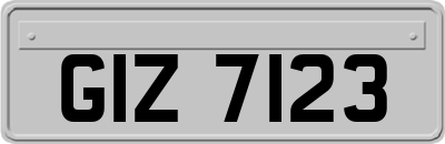 GIZ7123