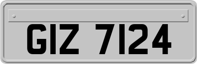 GIZ7124