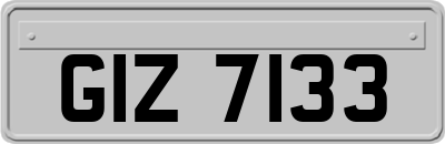 GIZ7133