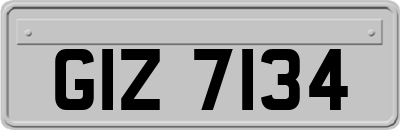 GIZ7134