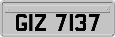 GIZ7137