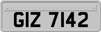 GIZ7142