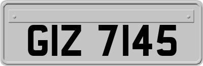 GIZ7145