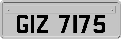 GIZ7175