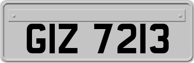 GIZ7213