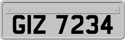 GIZ7234