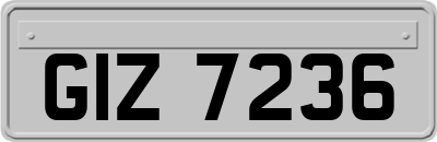 GIZ7236