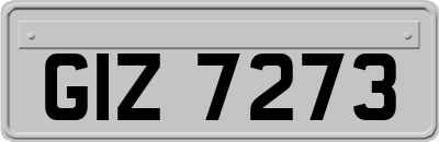 GIZ7273