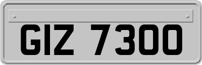GIZ7300
